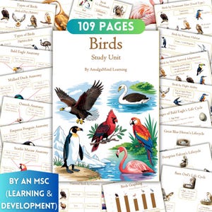 Può includere: Un'unità di studio educativa colorata intitolata "Birds" con 109 pagine. La copertina presenta illustrazioni di vari uccelli, tra cui un'aquila calva, un pinguino, un cardinale e un fenicottero. Pagine aggiuntive descrivono l'anatomia e i cicli di vita degli uccelli.