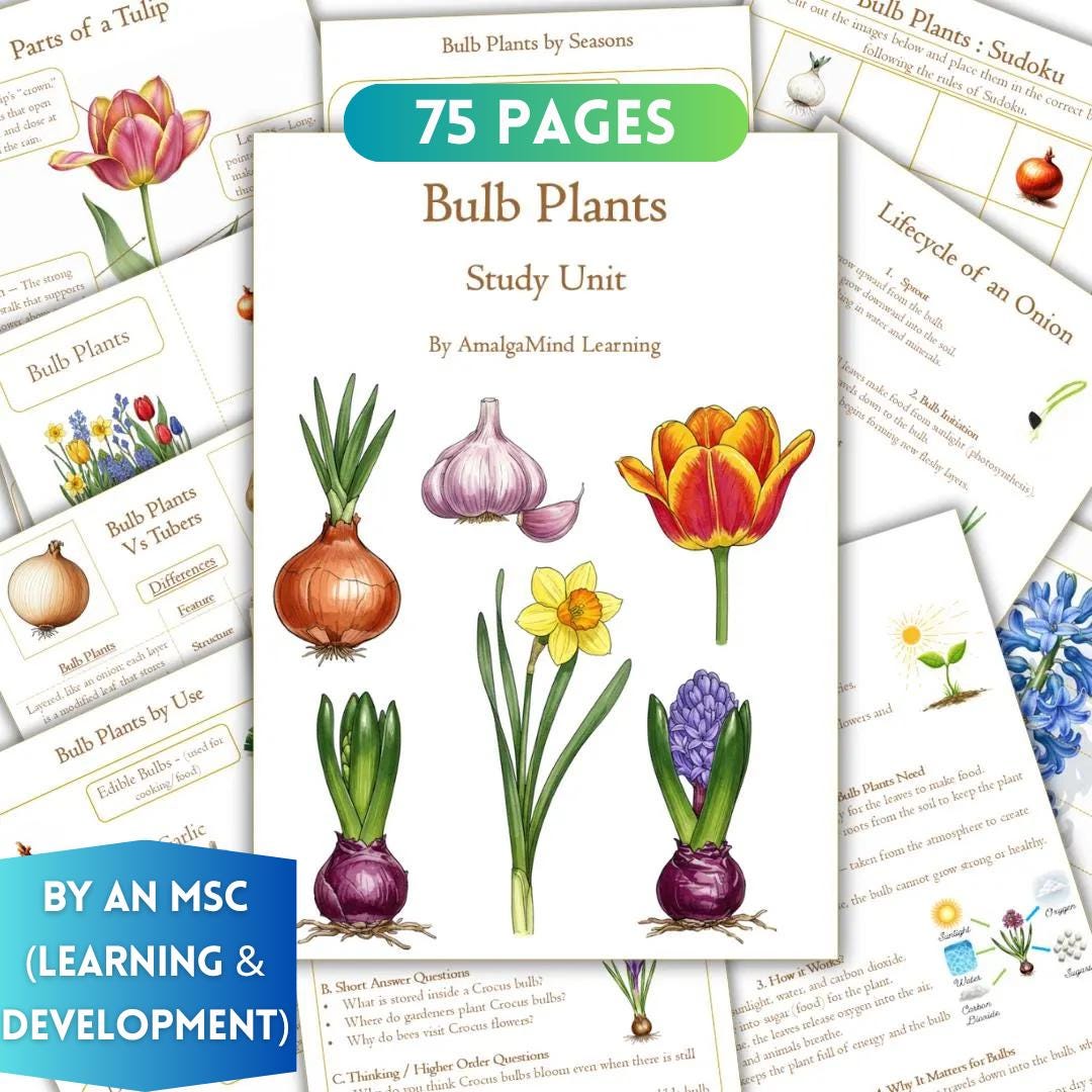 Bulb Plant Study Unit Worksheets: Onion, Tulip, Daffodil, Anatomy ...