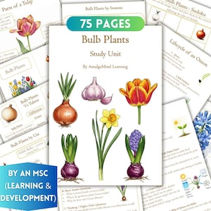 Może przedstawiać: Jednostka edukacyjna "Bulb Plants" o 75 stronach, prezentująca ilustracje różnych roślin cebulowych, takich jak tulipany, cebule, czosnek i żonkile. Okładka zawiera tekst "By AmalgaMind Learning" i "BY AN MSC (LEARNING & DEVELOPMENT)".
