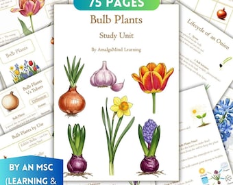 May include: A study unit titled "Bulb Plants" with 75 pages, featuring illustrations of various bulb plants like tulips, onions, garlic, and daffodils. The cover includes text "By AmalgaMind Learning" and "BY AN MSC (LEARNING & DEVELOPMENT)".