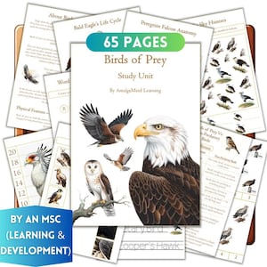 以下が含まれることがあります： 「Birds of Prey Study Unit」というタイトルの教育資料のコレクションで、65ページあります。表紙には、ワシやフクロウなど、さまざまな猛禽類のイラストが描かれています。追加ページでは、鳥の解剖学やライフサイクルについて詳しく説明しています。