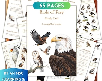 Birds of Prey Unit Study: Homeschool Science, Anatomy, Owl, Life Cycle, Montessori Flashcards, Nature, Kids' Activities (Instant Download)