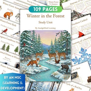 Fichas de trabajo para el estudio de la unidad del bosque invernal, animales de invierno, aves, árboles de hoja perenne, copos de nieve, hogar de los animales, educación en el hogar, materiales imprimibles Montessori, libro de actividades