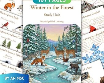 Winter Forest Unit Study Worksheets, Winter Animals, Birds, Evergreens, Snowflake, Animal Home, Homeschool, Montessori Printables, Busy Book