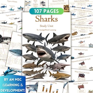 May include: A 107-page educational study unit titled Sharks by AmalgaMind Learning, featuring a central collage of various shark species including a great white, whale shark, and hammerhead, surrounded by multiple informational worksheets.