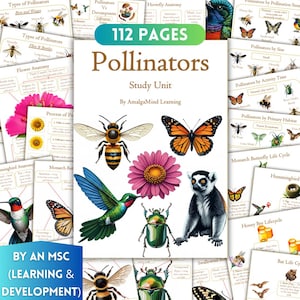 May include: A study unit titled "Pollinators" with 112 pages, featuring illustrations of bees, butterflies, a hummingbird, and a lemur. The cover includes text and is surrounded by educational cards about pollinators.