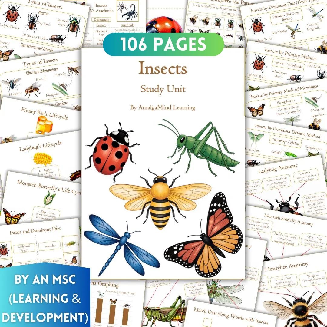 Insects Unit Study Printable, Homeschool Montessori Kids Worksheets ...