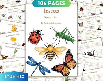 Insects Unit Study Printable, Homeschool Montessori Kids Worksheets, Bee, Ladybug, Butterfly, STEM Anatomy, Nature, Activities, busy book