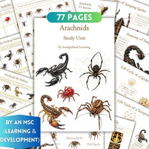 May include: A study unit titled "Arachnids" with illustrations of spiders and scorpions. The cover displays the text "77 Pages" and "Study Unit" by AmalgaMind Learning. Additional pages show diagrams and life cycles.