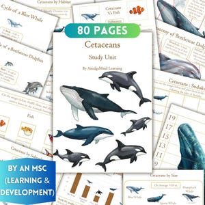 Peut inclure: Une unité d'étude éducative de 80 pages intitulée Cetaceans Study Unit par Amalgamind Learning. La couverture présente des illustrations de diverses baleines et dauphins, dont des orques, sur fond blanc, entourées de plusieurs pages d'activités.