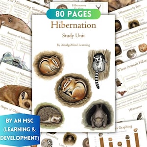 May include: An 80-page Hibernation Study Unit by Amalgamind Learning featuring educational illustrations of animals including chipmunks, a hedgehog, a bat, and a lemur in their natural habitats, alongside text-based anatomy and sorting charts.