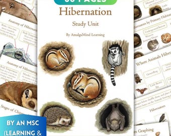 Hibernation Study Unit, Winter Animals, Winter Sleep, Anatomy, Nature, Kids Homeschool Busy Book, Montessori Flashcards, Printable Worksheet