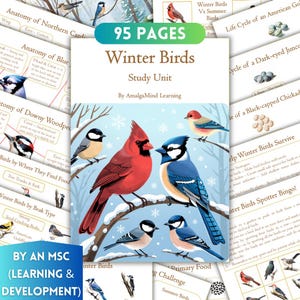 Può includere: Un'unità di studio di 95 pagine sugli uccelli invernali di Amalgamind Learning con schede didattiche. La copertina presenta un'illustrazione colorata di un cardinale rosso, una ghiandaia azzurra e altri piccoli uccelli su rami innevati.