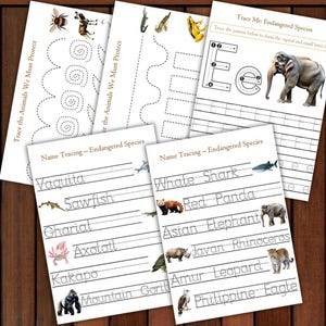 May include: Educational worksheets featuring endangered species. The pages include tracing activities for letters and names, along with illustrations of animals like the Asian elephant and whale shark. The text "Trace the Animals We Must Protect" is visible.