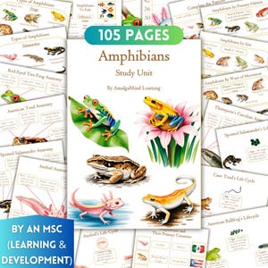 May include: A 105-page Amphibians Study Unit by AmalgaMind Learning featuring educational worksheets with illustrations of frogs, toads, salamanders, and axolotls, including anatomy diagrams, life cycles, and habitat information for classroom study.