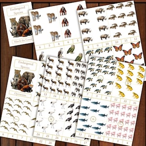 May include: Educational cards featuring endangered species, with illustrations of animals like leopards, rhinos, and orangutans. The cards include counting and basic math operations, with numbers and animal images for learning. The cards are arranged on a wooden surface.