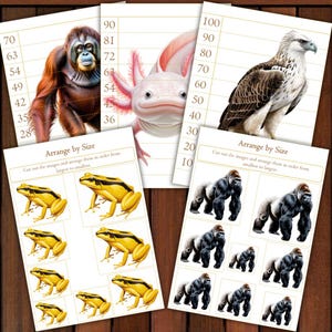 May include: Educational printables featuring animal illustrations. Includes an orangutan, axolotl, eagle, frogs, and gorillas. The text "Arrange by Size" is visible, with instructions to cut out and order images from largest to smallest.