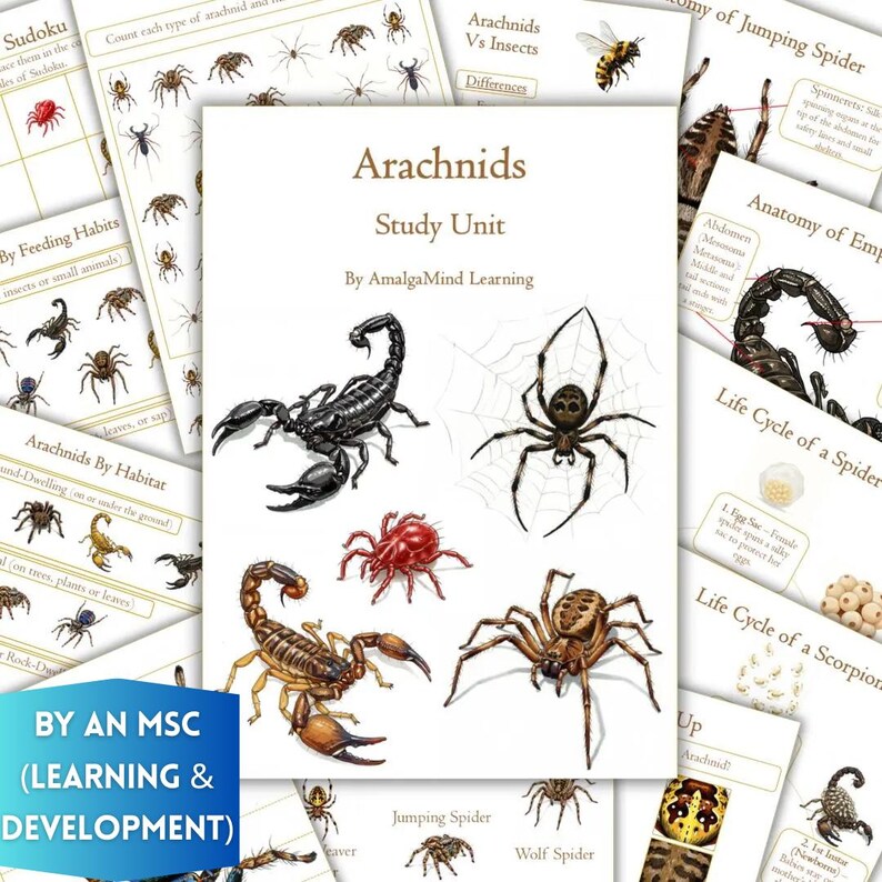 Arachnids Unit Study Worksheets: Spiders, Scorpions, Anatomy, Life ...