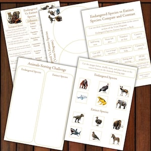 May include: Educational worksheets on endangered and extinct species. The worksheets include a Venn diagram, a sorting challenge, and images of animals. The pages are white with brown text and illustrations, and are on a wooden surface.