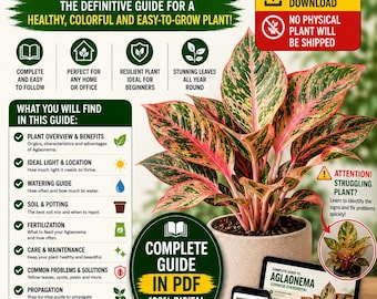 Aglaonema Care Guide PDF | Chinese Evergreen Plant Care | Complete Aglaonema Growing Guide | Indoor Plant eBook