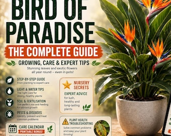 Bird of Paradise Care Guide PDF | Complete Strelitzia Growing Guide | Nursery Secrets, Infographics & Printable Plant Journal