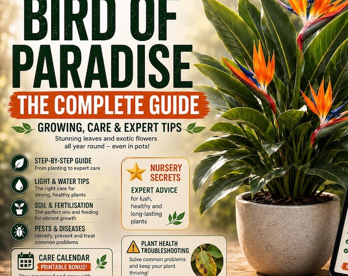 Bird of Paradise Care Guide PDF | Complete Strelitzia Growing Guide | Nursery Secrets, Infographics & Printable Plant Journal