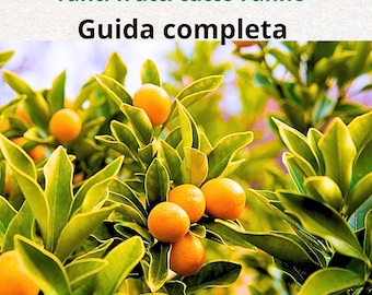 Guida Kumquat in Vaso PDF  Agrumi nani, coltivazione agrumi in casa, albero da frutto balcone, guida completa kumquat ita/eng