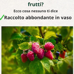 May include: A rustic wooden sign with the text "Welcome to our home" in white lettering. The sign has a distressed finish and a simple, inviting design, ideal for a front porch or entryway.