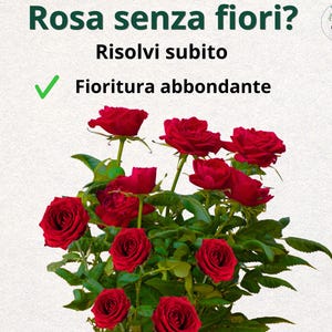Peut inclure: Une tasse en céramique blanche avec une anse noire et le texte "But First, Coffee" en gras noir. La tasse est posée sur un fond flou, suggérant un cadre chaleureux.