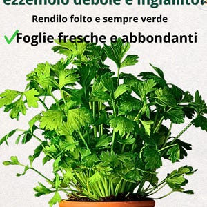 Peut inclure: Ensemble de trois tasses en céramique avec une finition mate et mouchetée. Les tasses sont de couleur crème, gris clair et gris foncé. Chaque tasse a un design simple et minimaliste.