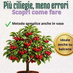 Op de afbeelding: Een kersenboom in een terracotta pot, vol met rijpe rode kersen. De boom heeft groene bladeren en een bruine stam. De tekst bovenaan luidt "Meer kersen, minder fouten". Extra tekst omvat "Ontdek hoe je het doet".