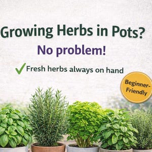 Può includere: Immagine di erbe aromatiche in vaso, tra cui basilico, rosmarino, prezzemolo e menta. L'immagine include cinque guide di coltivazione e il testo "Growing Herbs in Pots? No problem!" e "Beginner-Friendly."