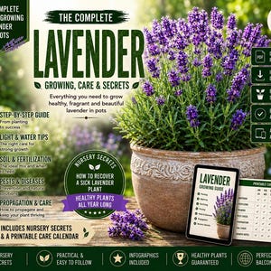 May include: A digital guide titled The Complete Lavender Growing, Care & Secrets featuring a potted lavender plant with purple flowers, a printable care calendar, and text detailing step-by-step instructions, light, water, soil, and pest tips.
