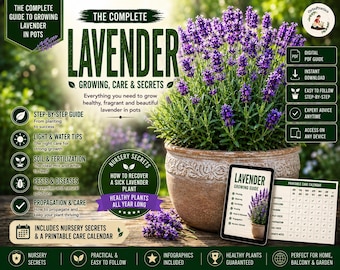 Lavender Care Guide PDF | Growing Lavender in Pots & Containers | Planting, Pruning, Watering , Propagation + Printable Care Calendar