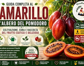 Tamarillo im Topf: Ein umfassender PDF-Leitfaden | Baumtomaten auf dem Balkon anbauen | Exotische Früchte einfach anbauen | Gärtnern im Topf (Italienisch/Englisch)