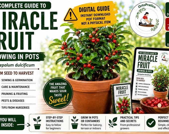 Miracle Fruit Growing Guide PDF | Synsepalum dulcificum | Grow in Pots | Digital Gardening Guide | Instant Download