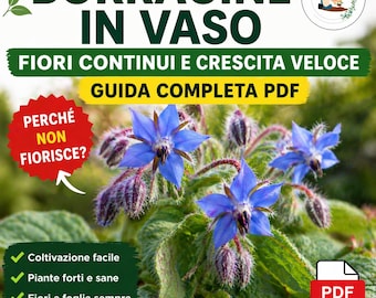 Borage in Pots Guide PDF | Easy Balcony Growing | Abundant Flowers All Season | Strong & Healthy Plants Method