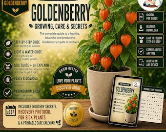 Goldenberry Care Guide PDF | Cape Gooseberry Growing in Pots, Physalis peruviana, Plant Rescue, Harvest & Nursery Secrets