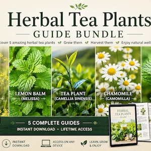 Può includere: Pacchetto di guide digitali con cinque piante di tè alle erbe: finocchio, melissa, pianta del tè, camomilla e menta. L'immagine include foto di piante, un tablet che mostra la guida e il testo "Herbal Tea Plants Guide Bundle."