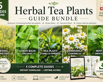 Herbal Tea Plants in Pots – 5 PDF Guides | Chamomile, Mint, Lemon Balm, Fennel & Tea Plant