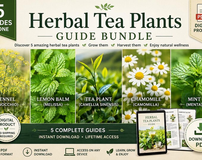 Herbal Tea Plants in Pots – 5 PDF Guides | Chamomile, Mint, Lemon Balm, Fennel & Tea Plant