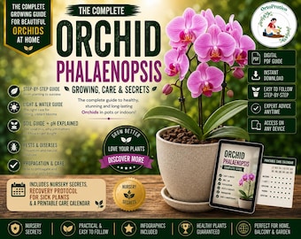 Phalaenopsis Orchid Care Guide PDF | Orchid Growing Guide | Repotting, Watering, Reblooming, Plant Rescue & Printable Calendar