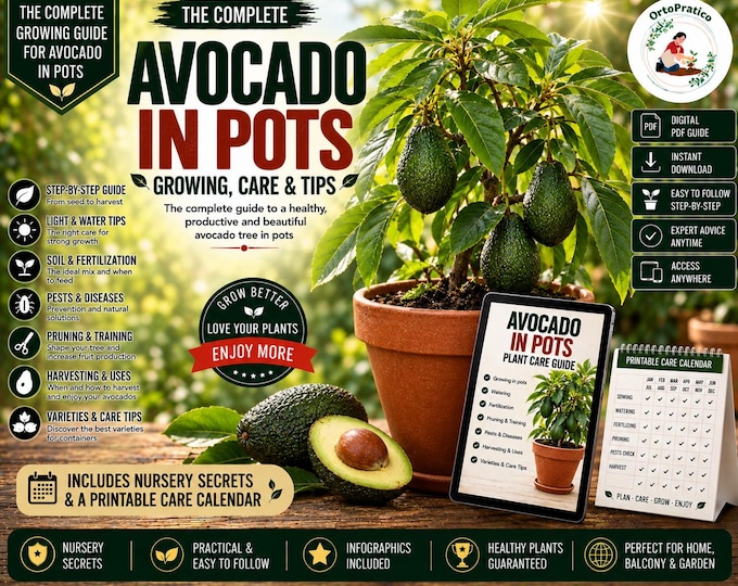 How to Grow an Avocado Tree in a Pot | Avocado Growing Guide | Grow Avocado at Home | Container Gardening | From Seed to Fruit | Digital PDF
