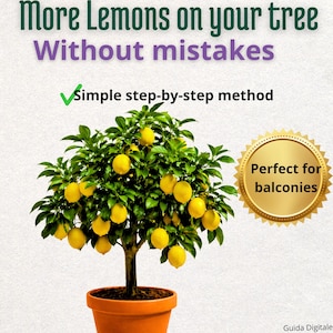 Guida Completa alla Pianta di Limone | Coltivazione in Vaso e in Piena Terra | Cura, Potatura, Concimazione e Produzione , ita/eng
