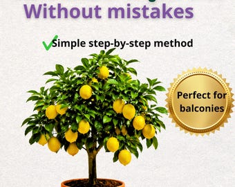 Guida Completa alla Pianta di Limone | Coltivazione in Vaso e in Piena Terra | Cura, Potatura, Concimazione e Produzione , ita/eng