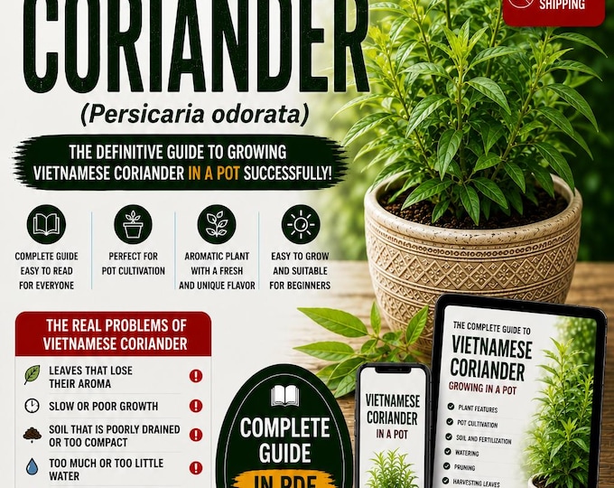 Vietnamese Coriander Growing Guide PDF | How to Grow Persicaria odorata in Pots | Rau Ram Plant Care | Vietnamese Mint Guide