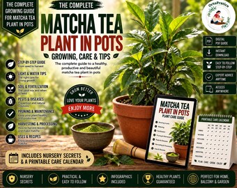 How to Grow Tea Plant in Pots | Camellia Sinensis Growing Guide | Grow Tea at Home | Matcha & Green Tea | Container Gardening | Digital PDF