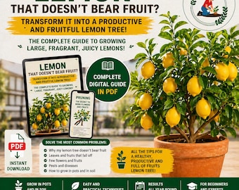 Why Your Lemon Tree Isn’t Fruiting (And How to Fix It Fast) – Complete Pot Growing Guide