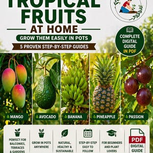 Può includere: Un grafico promozionale con il testo "Coltiva Frutta Tropicale a Casa". Presenta immagini di mango, avocado, banane, ananas e frutto della passione. Il grafico include anche icone e il testo "Guida Digitale Completa in PDF".