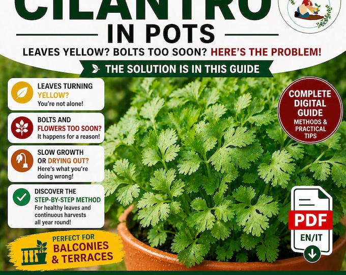Cilantro Growing Guide PDF | Grow Cilantro in Pots Without Bolting | Continuous Leaves Harvest | Easy Balcony Herb Guide